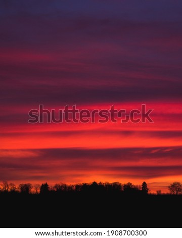 moody firey sunset over a small lake with reeds