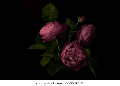 Moody flowers. bouquet of light plum roses on a black background. Blur and selective focus. Low key photo - Powered by Shutterstock