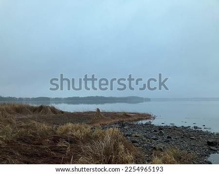 Moody frozen lake view of a grass shore with land in the distance on a very foggy day