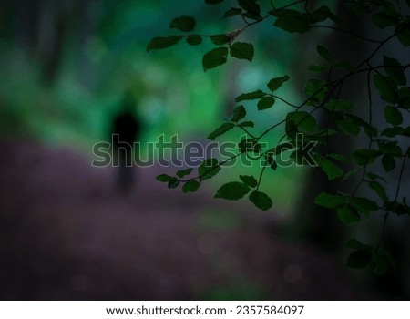 Moody Image A Man Or Woman Walking In A Forest At Dusk