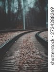 Moody Low-Angle View of Empty Curved Railway Tracks with Fallen Autumn Leaves
