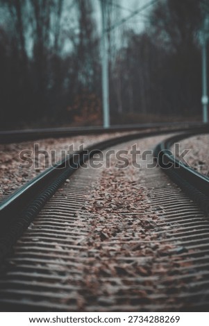 Moody Low-Angle View of Empty Curved Railway Tracks with Fallen Autumn Leaves