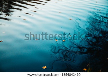 Moody nature photography of fallen leaf on dark water with reflections of autumn trees.