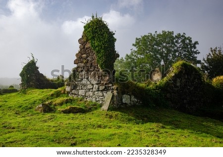 Moody scene of ruined stone walls and gravestones overgrown with ivy, grass, and moss at old cemetery in Ireland