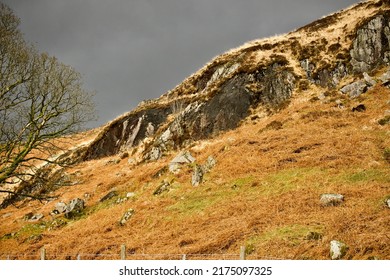 A Moody Shot Taken In Galloway Forest Park 