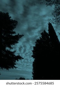 Moody sky. Clouds and trees