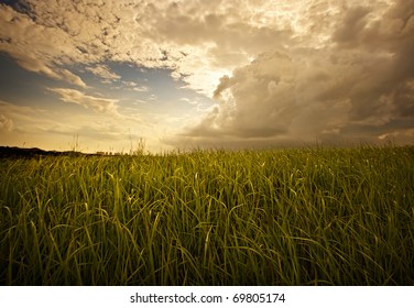 Moody sky and grass - Shutterstock ID 69805174
