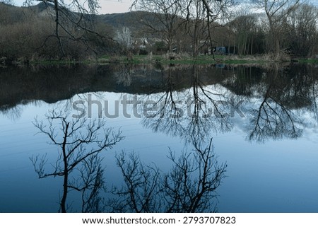 Moody spring landscape with bare tree branches, distant hills, power lines, and a transmission tower near calm reflective water.