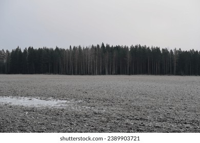 Moody view of a frosty field and the border of the woods in the horizon. Cloudy grey blue sky. Morning mist during an early morning. Late autumn, early winter in Finland, Northern Europe.  - Powered by Shutterstock