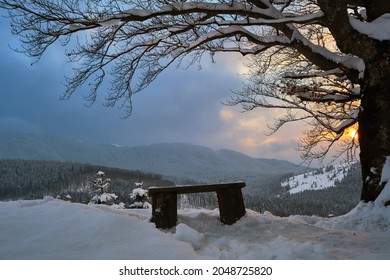 Moody winter landscape with dark bare tree and small wooden bench on covered with fresh fallen snow field in wintry mountains on cold gloomy evening. - Powered by Shutterstock