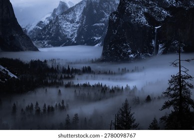 Moody winter morning at Tunnel View reveals a fog-shrouded Yosemite Valley, with El Capitan, Half Dome, and Bridalveil Fall emerging from cold mist over snow-touched pine forest in California.