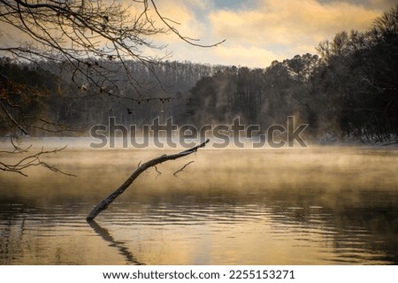 A moody winter scene at Grundy Lakes of the South Cumberland State Park system in Tennessee. Stock photo © 