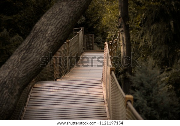 Moody wooden drawbridge\
in the forest 