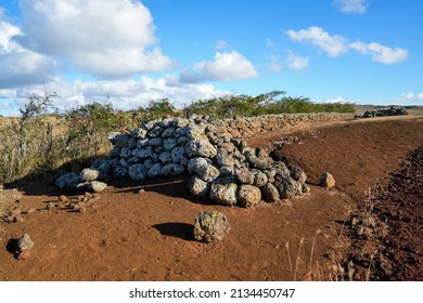 Mo'okini Heuiau In The North Of Big Island, Hawaii - Ruins Of A Temple Of The Hawaiian Religion In The Kohala Historical Sites State Monument Near Upolu Point