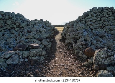 Mo'okini Heuiau In The North Of Big Island, Hawaii - Ruins Of A Temple Of The Hawaiian Religion In The Kohala Historical Sites State Monument Near Upolu Point