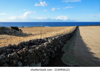 Mo'okini Heuiau In The North Of Big Island, Hawaii - Ruins Of A Rock Wall Enclosure Around A Temple Of The Hawaiian Religion In The Kohala Historical Sites State Monument Near Upolu Point