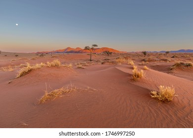 Moon Above The Horizon At Sunset In The Namib Desert