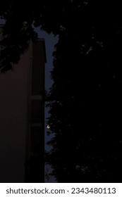 Moon between building and tree.