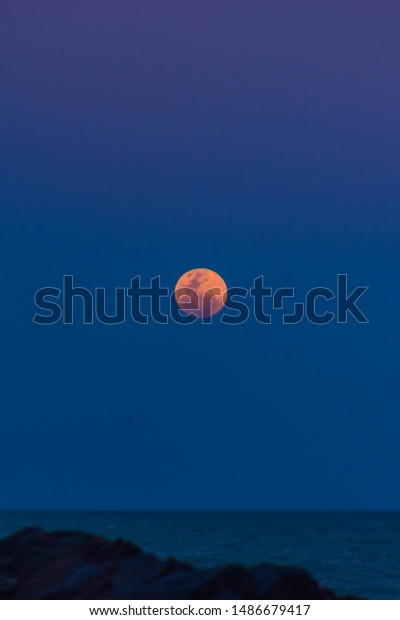 The moon in blue\
sky