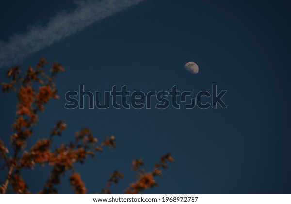 The moon and the blue sky  And a beautiful full\
moon in the night