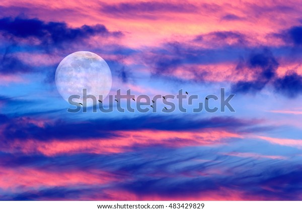 Moon clouds birds is a vibrant colorful cloudscape with birds flying by the light of the full moon rising in the sky.