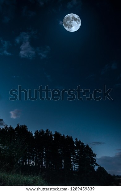 Moon and clouds in the\
night. Moonlight  in the forest. Copy space background. Dark blue\
backdrop.