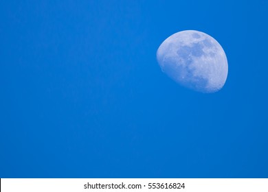 moon day field