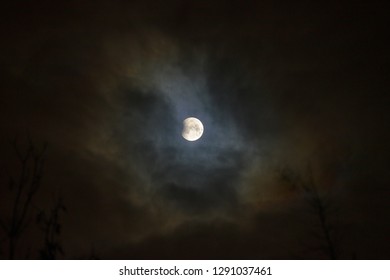 Moon eclipse in full moon. Super blue bloody moon over tree silhouette on night sky background. The beginning of the lunar eclipse. Earth's shadow falls to the moon