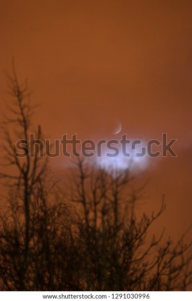 Moon eclipse in full\
moon. Super blue bloody moon over tree silhouette on night sky\
background. The beginning of the lunar eclipse. Earth\'s shadow\
falls to the moon