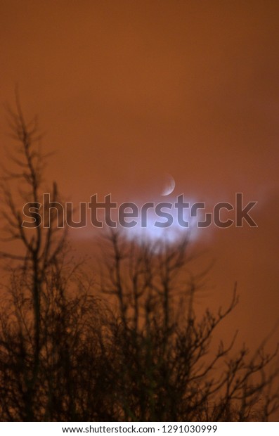 Moon eclipse in full
moon. Super blue bloody moon over tree silhouette on night sky
background. The beginning of the lunar eclipse. Earth's shadow
falls to the moon