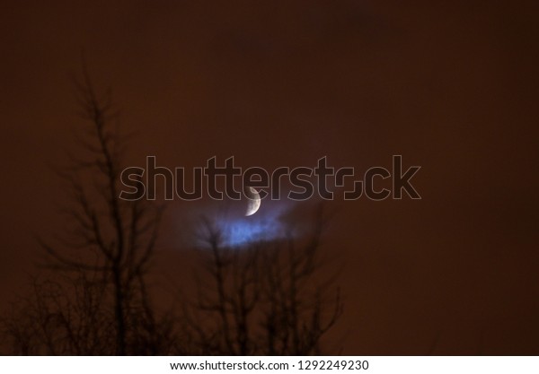 Moon eclipse in full\
moon. Super blue bloody moon over tree silhouette on night sky\
background. The beginning of the lunar eclipse. Earth\'s shadow\
falls to the moon