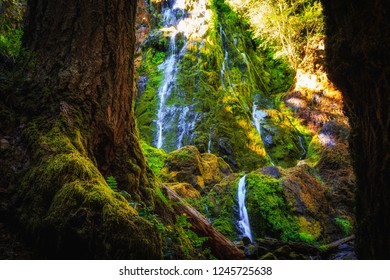 Moon Falls, Umpqua National Forest, Oregon