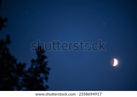 Moon at the first quarter rising over the forest. Natural satellite of the earth in conjunction with planet Jupiter and Saturn 