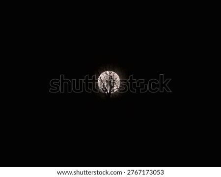 Moon framed by bare tree silhouette, stark nocturnal mood, faint halo and soft glow, branches in crisp dark
