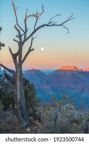 Moon In The Grand Canyon At Sunset. USA.