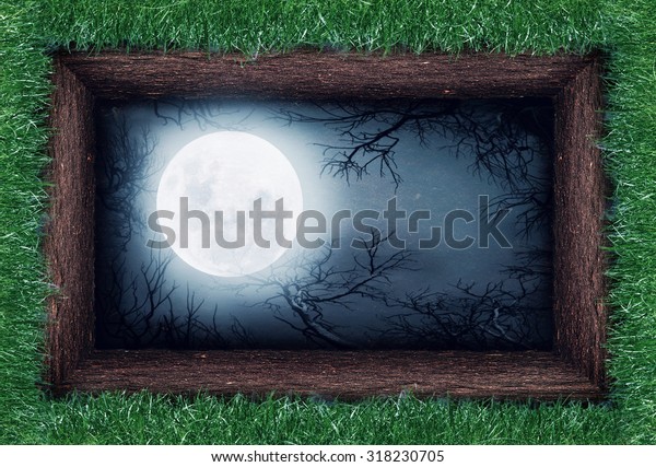 Moon in the\
ground