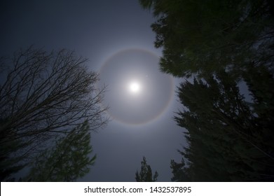 Moon Halo Haze Between Trees At The Top Of The Mountain 