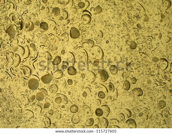\'Moon landscape\': worn plaster wall texture\
(for background)