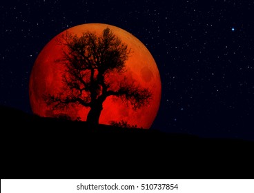 Moon at it largest also called super moon "Elements of this image furnished by NASA"