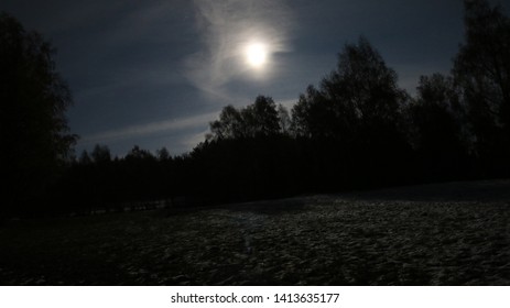 Moon At Night And Sillhouette Of Trees 