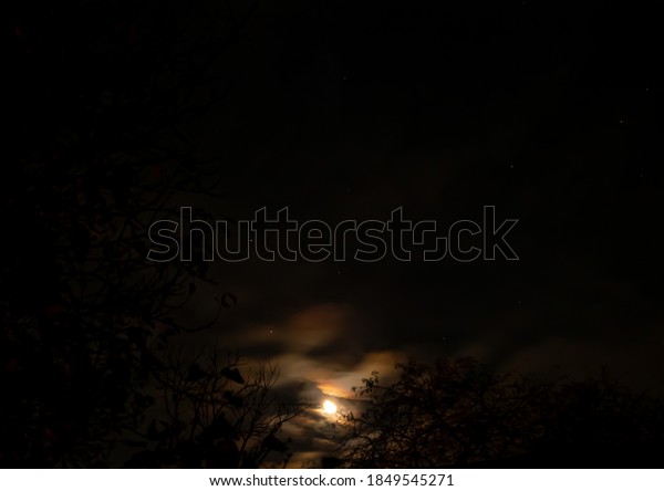 The moon on the background of the cloudy night\
sky. The moon is on the night horizon. Cloudy weather. Weather.\
Shadows of trees. Night time. Background image. Natural landscape.\
Background image.