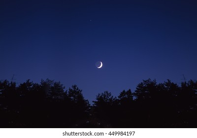 Moon On The Sky During Night, Forest In Deep Black. 