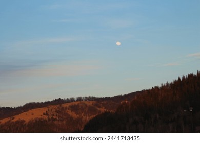 A moon over a forest