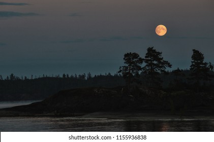 Moon over the forest. Night on the shore of the lake - Powered by Shutterstock
