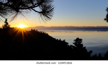 Moon Over The Trees In TAhoe