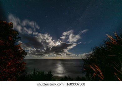 Moon Between Trees High Res Stock Images Shutterstock