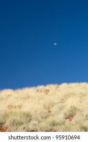 Moon Rise  Millstream Chichester National Park