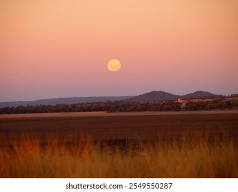 A moon rises over the wheat fields - Powered by Shutterstock