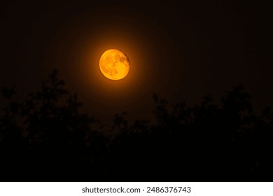 Moon rising at night over trees with an orange color - Powered by Shutterstock