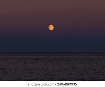 The Moon in the Sea